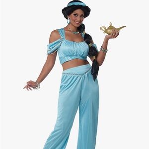 Arabian Princess/Princess Jasmine Costume - Medium